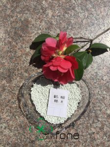 選擇色母粒時(shí)，我們應(yīng)該考慮哪些？